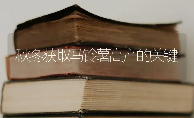 秋冬获取马铃薯高产的关键 | 蔬菜种植
