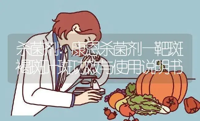 杀菌剂：康恩杀菌剂—靶斑褐斑叶斑 | 适用防治对象及农作物使用方法说明书 | 植物农药