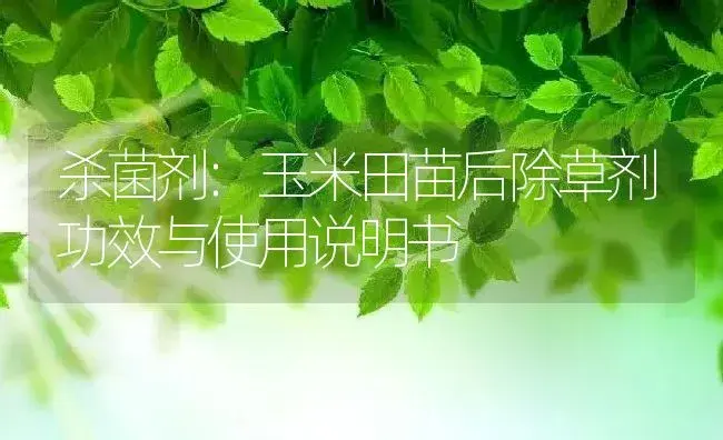 杀菌剂：玉米田苗后除草剂 | 适用防治对象及农作物使用方法说明书 | 植物农药