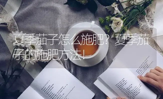 夏季茄子怎么施肥？夏季茄子的施肥方法！ | 蔬菜种植