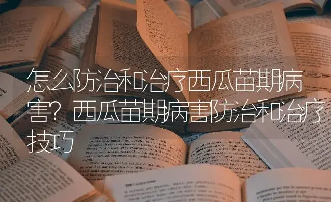 怎么防治和治疗西瓜苗期病害？西瓜苗期病害防治和治疗技巧 | 蔬菜种植