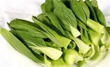 阳台种菜——青菜的种植方法