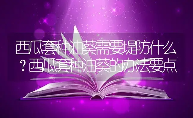 西瓜套种油葵需要堤防什么？西瓜套种油葵的办法要点 | 蔬菜种植