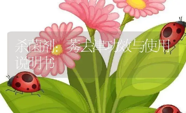 杀菌剂：莠去津 | 适用防治对象及农作物使用方法说明书 | 植物农药