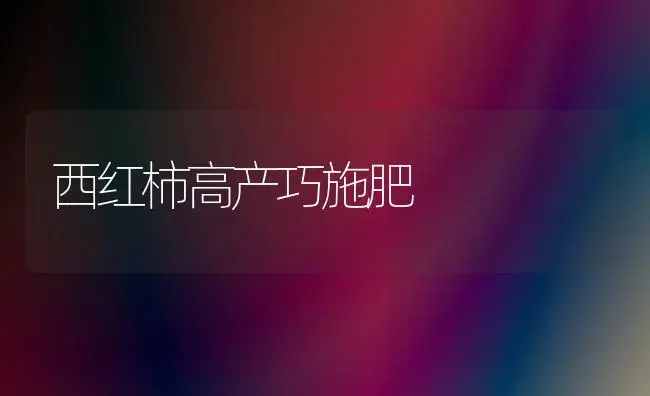 西红柿高产巧施肥 | 植物肥料