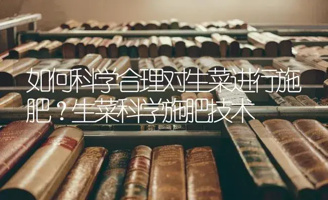 如何科学合理对生菜进行施肥？生菜科学施肥技术 | 蔬菜种植