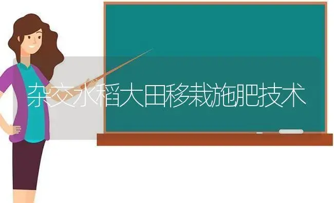 杂交水稻大田移栽施肥技术 | 植物肥料