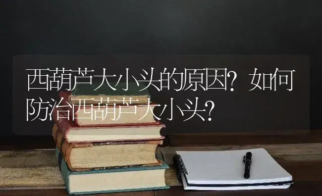 西葫芦大小头的原因？如何防治西葫芦大小头？ | 蔬菜种植