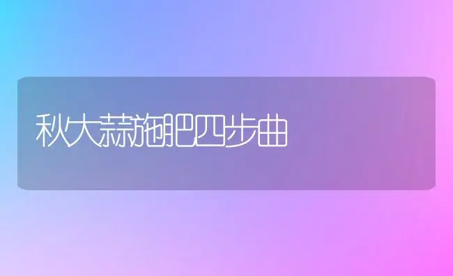 秋大蒜施肥四步曲 | 植物肥料