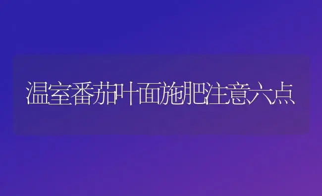 温室番茄叶面施肥注意六点 | 植物肥料