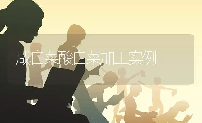 咸白菜酸白菜加工实例 | 蔬菜种植
