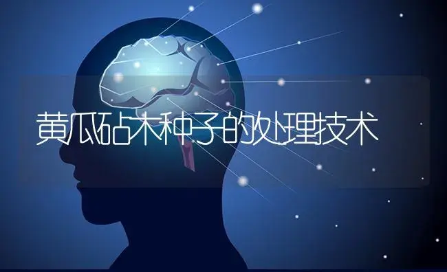 黄瓜砧木种子的处理技术 | 蔬菜种植