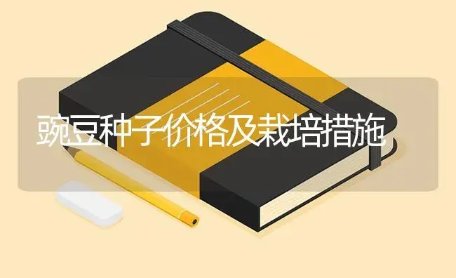 豌豆种子价格及栽培措施 | 蔬菜种植