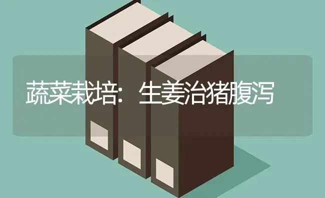 丝瓜什么时候种植？丝瓜该如何管理？ | 蔬菜种植