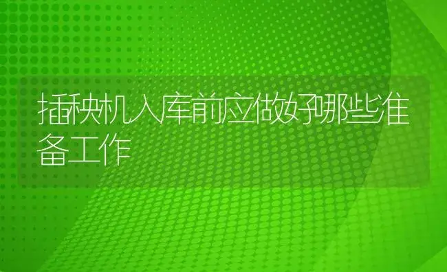 插秧机入库前应做好哪些准备工作 | 农资农机