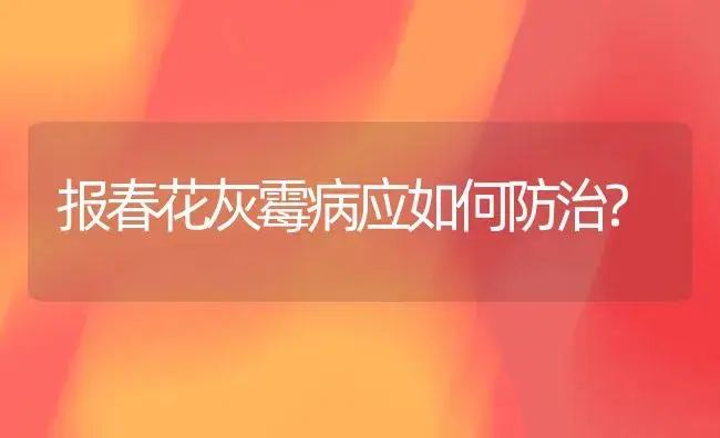 报春花灰霉病应如何防治? | 植物病虫害