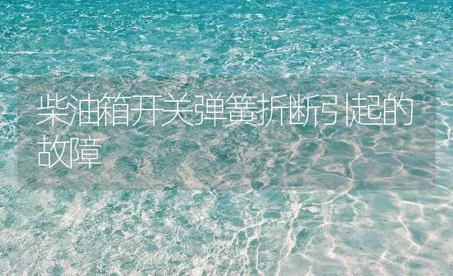 柴油箱开关弹簧折断引起的故障 | 农资农机