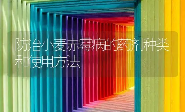 四川省水稻病虫发生2716.72万亩次 今年最严重 | 植物病虫害