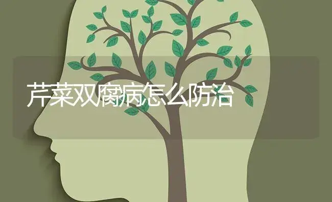 芹菜双腐病怎么防治 | 蔬菜种植