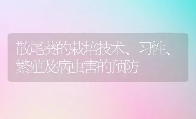 散尾葵的栽培技术、习性、繁殖及病虫害的预防 | 植物病虫害