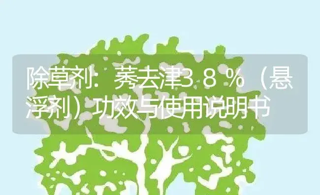 除草剂：莠去津38%（悬浮剂） | 适用防治对象及农作物使用方法说明书 | 植物农药