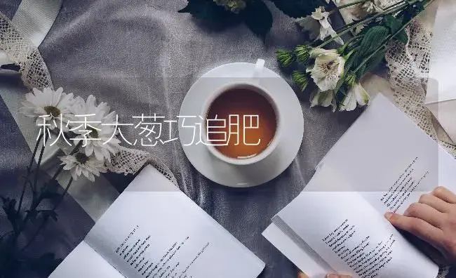 秋季大葱巧追肥 | 蔬菜种植