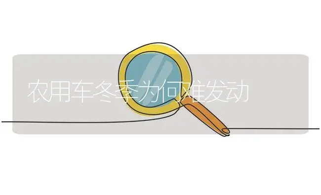 农用车冬季为何难发动 | 农资农机