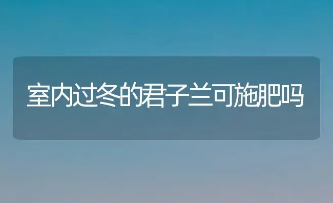 室内过冬的君子兰可施肥吗 | 植物肥料