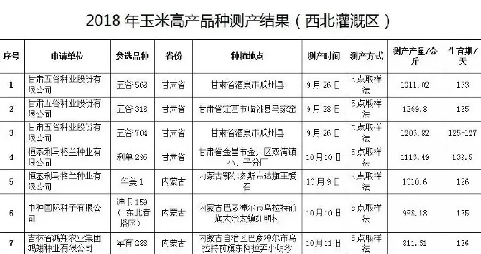 这些玉米品系高产又稳产，最高亩产1300多千克！