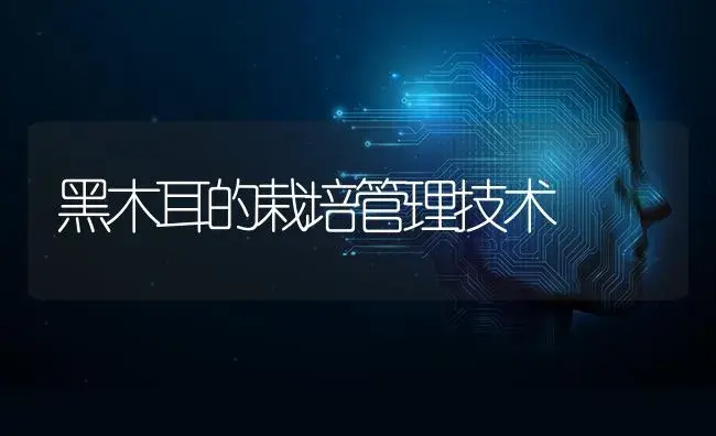 黑木耳的栽培管理技术 | 蔬菜种植