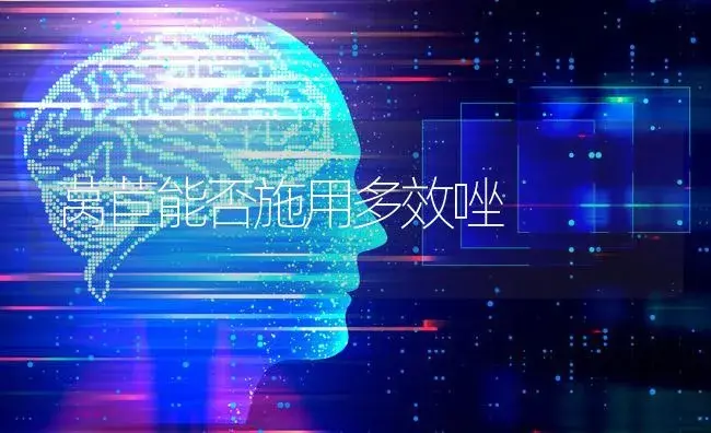 莴苣能否施用多效唑 | 蔬菜种植