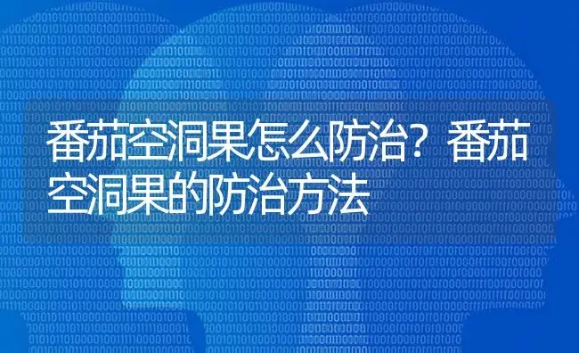 番茄空洞果怎么防治？番茄空洞果的防治方法 | 蔬菜种植