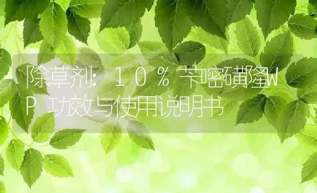 除草剂：10%苄嘧磺隆WP | 适用防治对象及农作物使用方法说明书 | 植物农药