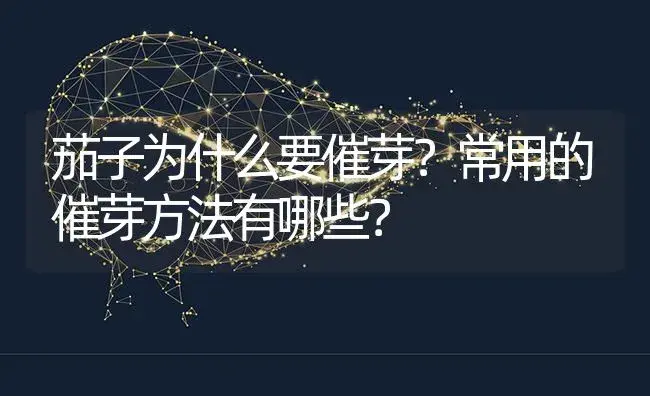 茄子为什么要催芽？常用的催芽方法有哪些？ | 蔬菜种植