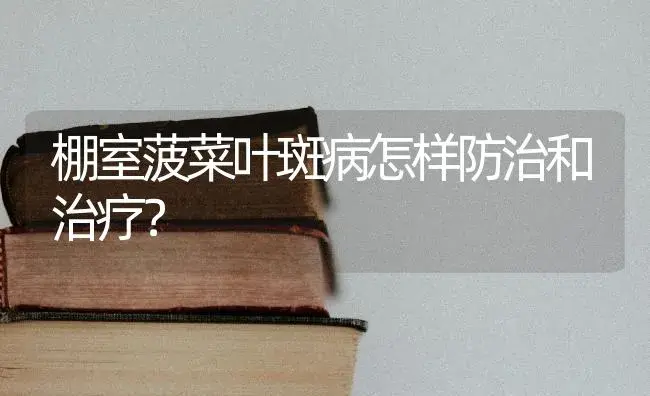 棚室菠菜叶斑病怎样防治和治疗？ | 蔬菜种植