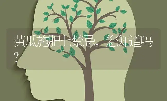 黄瓜施肥七禁忌，您知道吗？ | 蔬菜种植