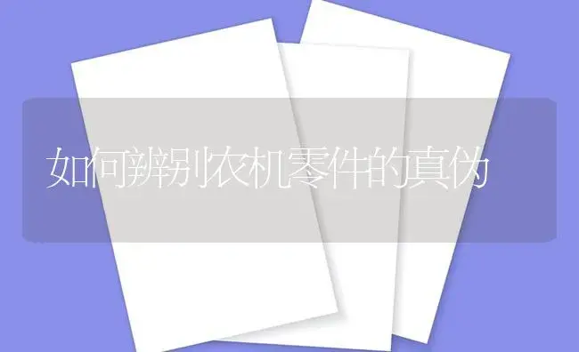 如何辨别农机零件的真伪 | 农资农机