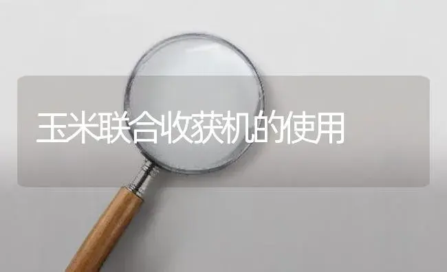 玉米联合收获机的使用 | 农资农机