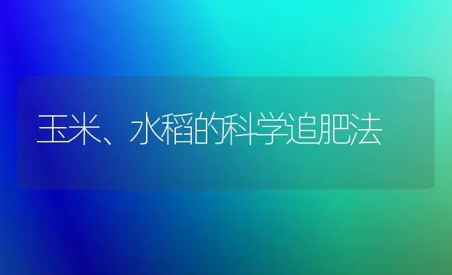 玉米、水稻的科学追肥法 | 植物肥料