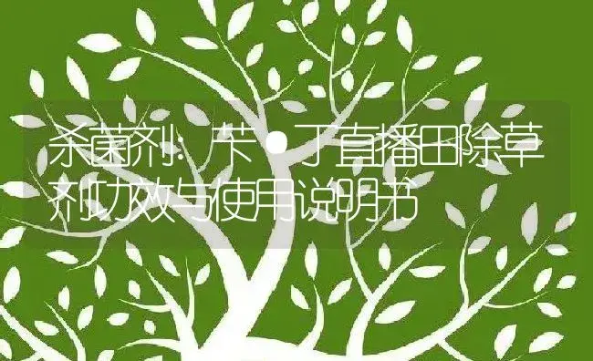 杀虫剂：庄巧 | 适用防治对象及农作物使用方法说明书 | 植物农药