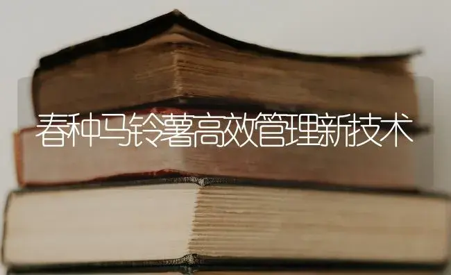 玉米制种过程中怎样提升杂交种纯度？ | 蔬菜种植