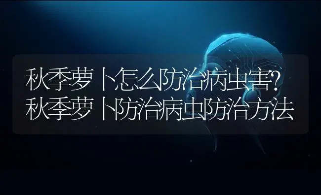 秋季萝卜怎么防治病虫害？秋季萝卜防治病虫防治方法 | 蔬菜种植