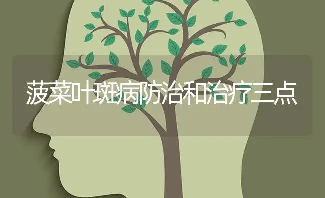 菠菜叶斑病防治和治疗三点 | 蔬菜种植