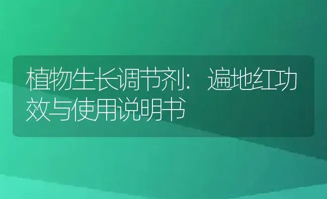 植物生长调节剂：遍地红 | 适用防治对象及农作物使用方法说明书 | 植物农药