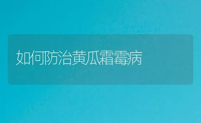 如何防治黄瓜霜霉病 | 植物病虫害