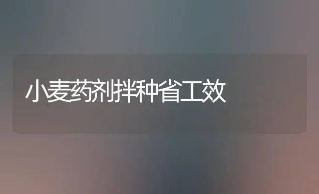 小麦药剂拌种省工效 | 植物农药