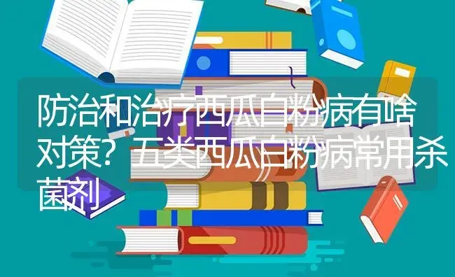 防治和治疗西瓜白粉病有啥对策？五类西瓜白粉病常用杀菌剂 | 蔬菜种植