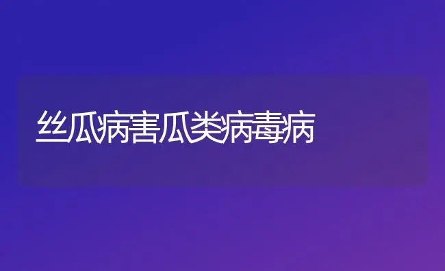 丝瓜病害瓜类病毒病 | 植物病虫害