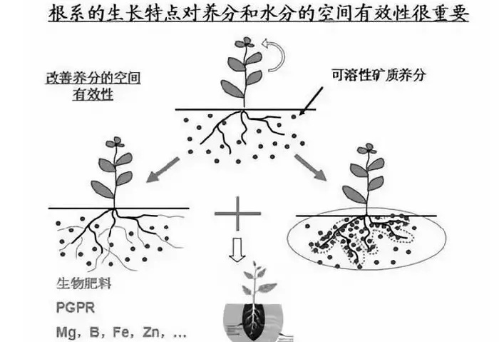 水肥一体化技术为啥难推广？