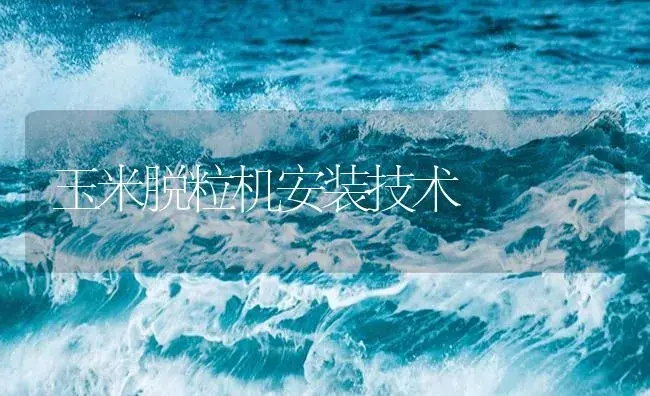 玉米脱粒机安装技术 | 农资农机